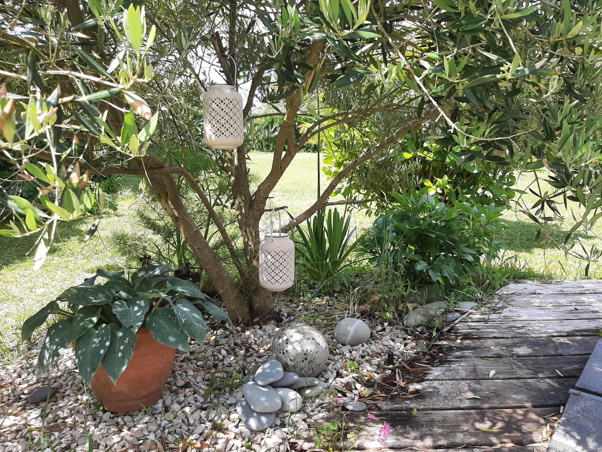 Maison Chaleureuse Bord De Mer Primelin Exterior photo